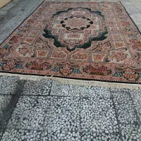 فرش ۱۲ متری کاشان در حد نو|فرش|گنبد کاووس, |دیوار