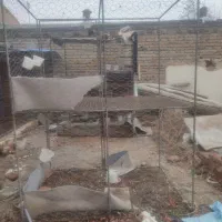 قفس بزرگ و کوچک برای حیوانات