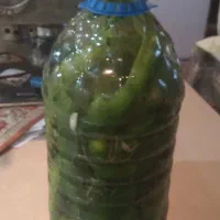 خیارشور مفته مفت