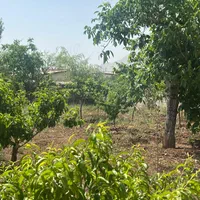 زمین ۳۴۰ متری(کوچه عسل)اقساط ده ماهه|فروش زمین و ملک کلنگی|دماوند, گیلاوند|دیوار