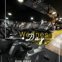 منشی و دفتردار مدیرعامل