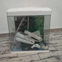 اکواریوم شرکتی
