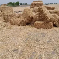 100عددپرس کاه