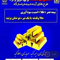 ثبت نام بیمه عمر پاسارگاد باطرح سود بروز طلا|خدمات مالی، حسابداری، بیمه|رامشیر, |دیوار