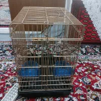 قفس سنگین جنس قدیم طلایی