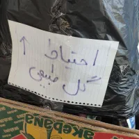 گل زامیفولیا زامفولیا زیر قیمت|گل و گیاه طبیعی|بابل, |دیوار