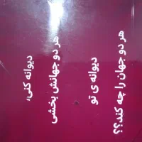 منشی خانم