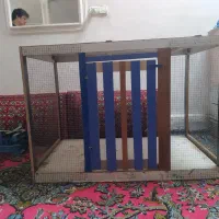 قفس پرنده