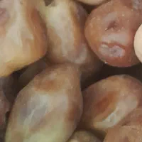 خرمای زاهدی