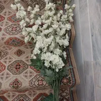 ۶شاخه گل خارجی