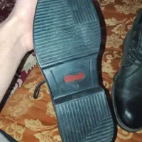 کفش نیم بوت مردانه و طوطی