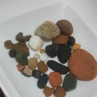 تعدادی سنگ و فسیل قیمتی و تزیینی