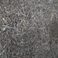 فروش چای خشک امساله|خوردنی و آشامیدنی|رشت, باهنر|دیوار