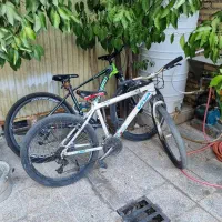 دوچرخه ۲۶ ویوا اصلی
