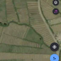 باغ انگور روستا جوزان ۱جریب