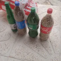 اسپند|عمده‌فروشی|گرمی, |دیوار