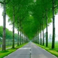 باغچه650متری-دشت-ارژن