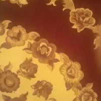 رو فرشی  درجه یک خوش رنگ و خوش طرح  ۱۲ متری  نو|روفرشی|تهران, توحید|دیوار