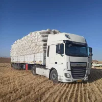 کاه بارجدیدرسید.سالاری