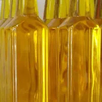 روغن زیتون خالص رودبار