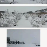 فروش-باغ-ویلا