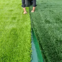 آمل چمن مجری حرفه ای چمن مصنوعی فوتبالی|مصالح و تجهیزات ساختمان|آمل, |دیوار