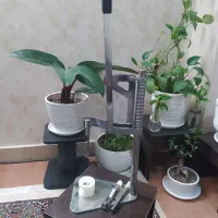 دستگاه تولید میوه خشک ،اسلایسر،هسته گیر