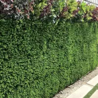 گرینوال،فنس،چمن ورزشی ، تزئینی|خدمات باغبانی و درختکاری|کرج, کمال‌شهر|دیوار