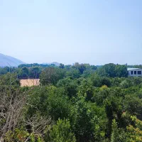 باغ-گروه-یک-بدون-درخت