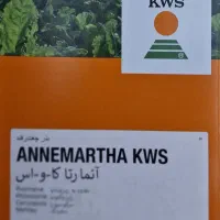 بذر چغندرقند وارداتی و داخلی تضمینی|عمدهفروشی|بیستون, |دیوار