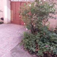 فومن-بهترین-لوکیشن
