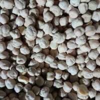 نخود سفید خوش پخت|عمدهفروشی|اسلامشهر, مظفریه|دیوار