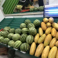 پالت ، ترازو ، آیینه ، حشره کش