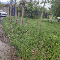 زمین 150متری مسکونی باپرپوانه ساخت .مولاسرا|فروش زمین و ملک کلنگی|کوچصفهان, |دیوار