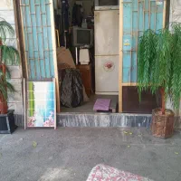 دوعدد درختچه|گل مصنوعی|بروجرد, |دیوار