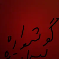 یک عدد گوشواره پیدا شده