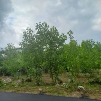 فروش زمین نزدیک به شهر لاهیجان