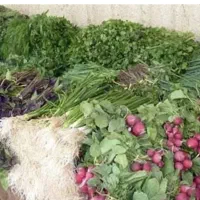 فروشنده میوه و سبزی