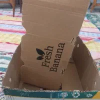 کارتن موزی
