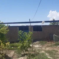 اجاره دامداری ،در نوشین شهر