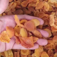 کشمش پلویی برگه زردالو کیلاس خشک الوچه|خوردنی و آشامیدنی|مشهد, توس (بلوار توس)|دیوار