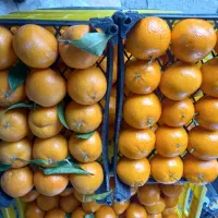 گرمادرمانی ابدرمانی سبد شور کلر شور و....