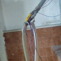 واگذاری کارگاه نبات سازی