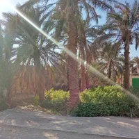 فروش یک باب منزل|فروش خانه و ویلا|نرماشیر, |دیوار