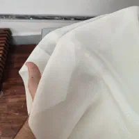 شاین شیری