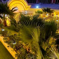 باغ/تالار (تشریفاتی) عمارت سعید