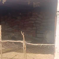 50‌شلیف‌‌کاه‌گندم‌فروشی