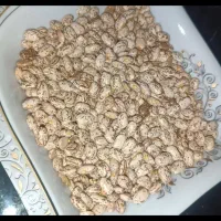 لوبیا چیتی|خوردنی و آشامیدنی|دهلران, |دیوار