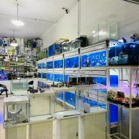 تا حالا اینجا اومدی برای آکواریومت