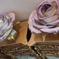 چراغ خواب گل رز